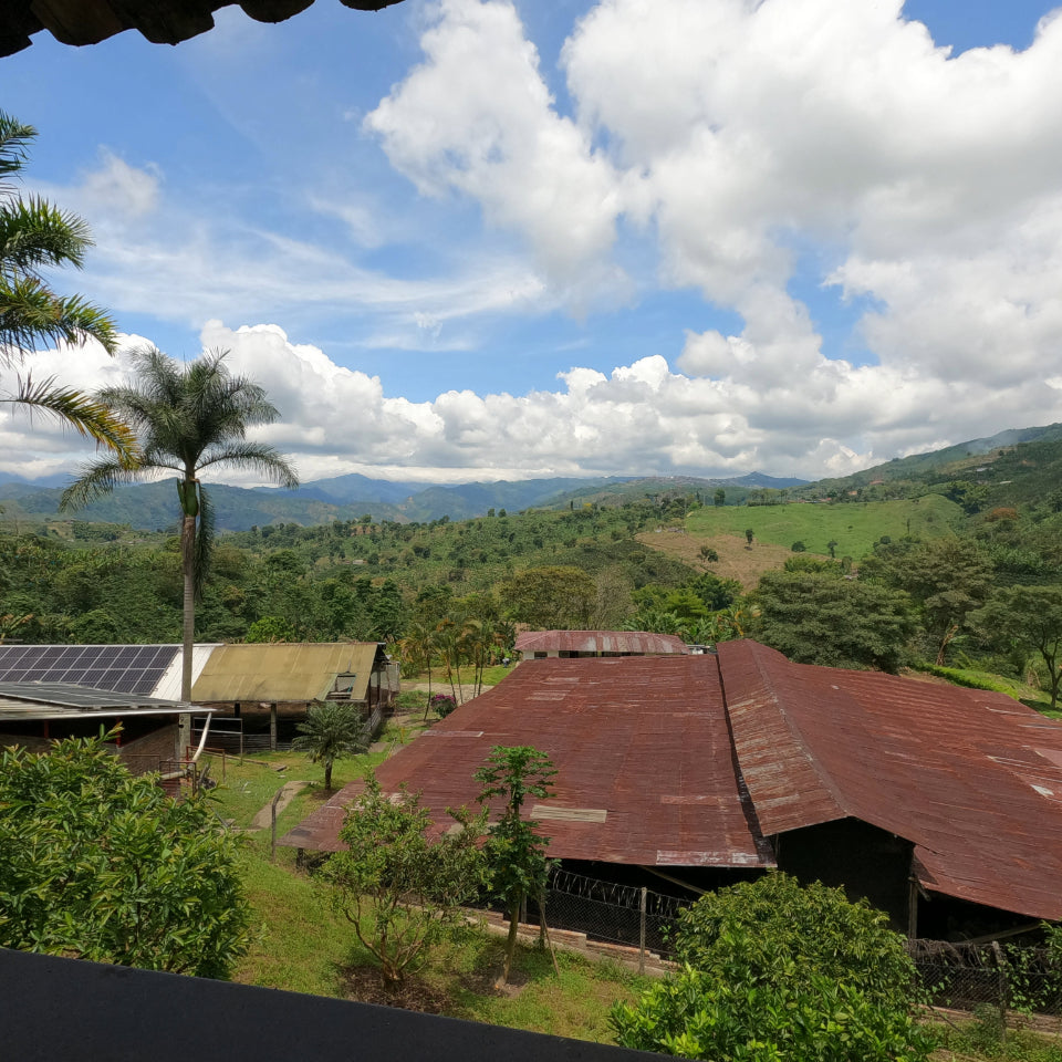 Coffee farm, Colombia